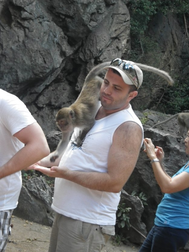 The monkey climbed up the guy to grab the food in his hand.